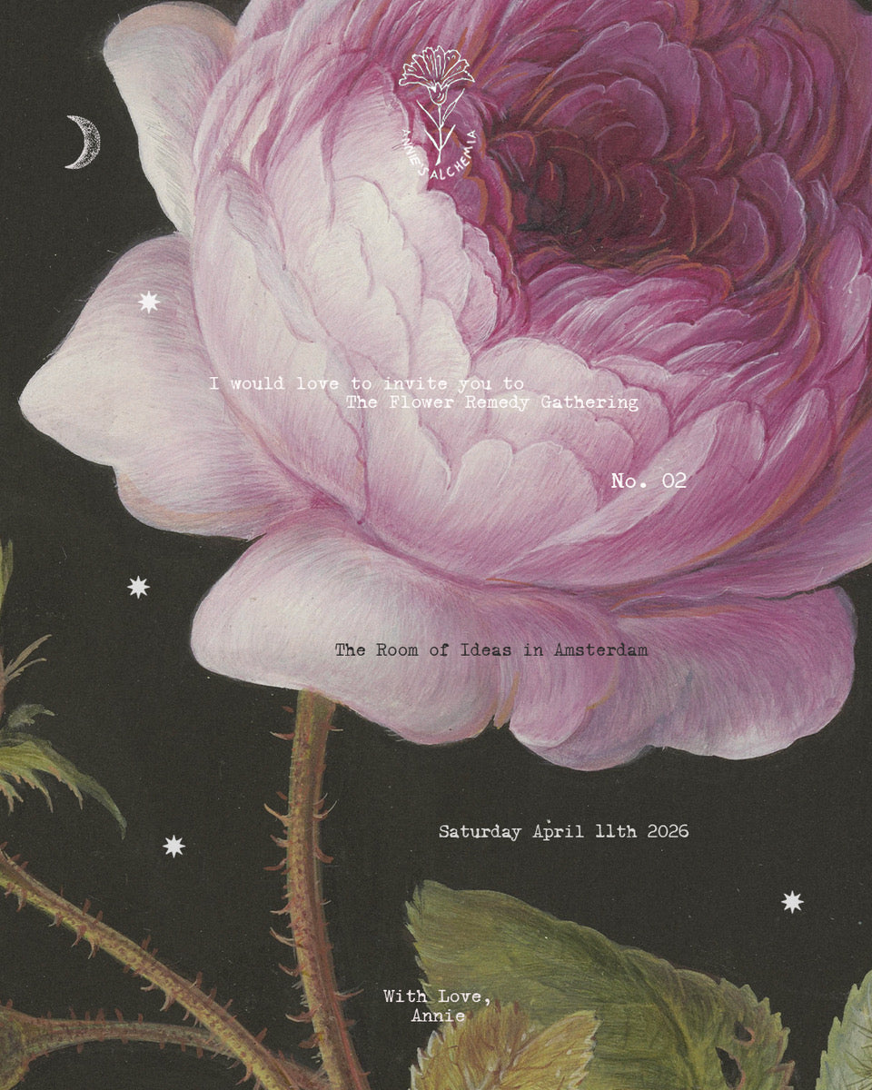 The Flower Remedy Gathering No. 02