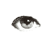 Link icon