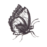 Link icon